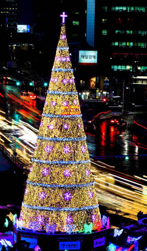 Новогодняя елка в олимпийском 2014