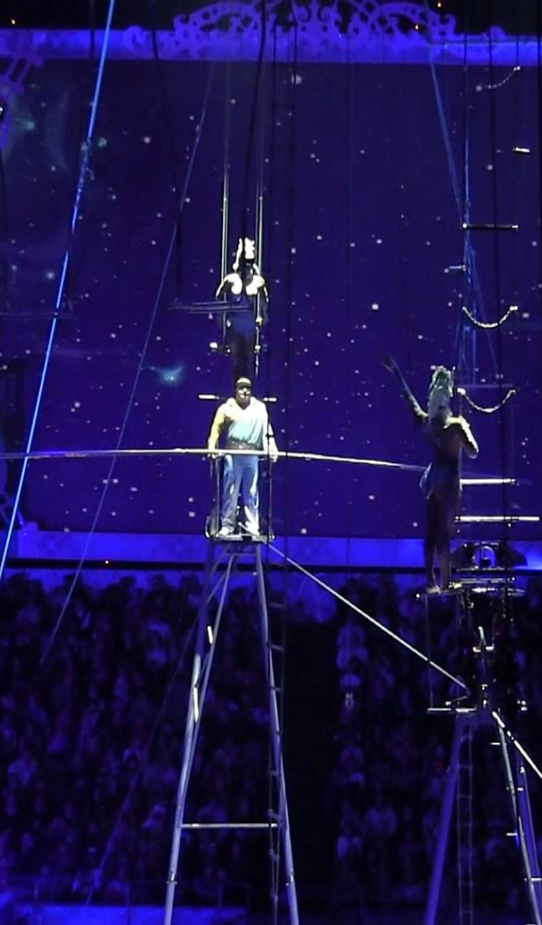 Цирк деда мороза в олимпийском