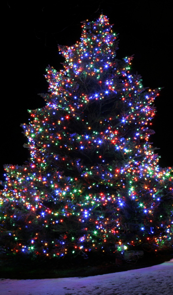 Красочная Новогодняя елка