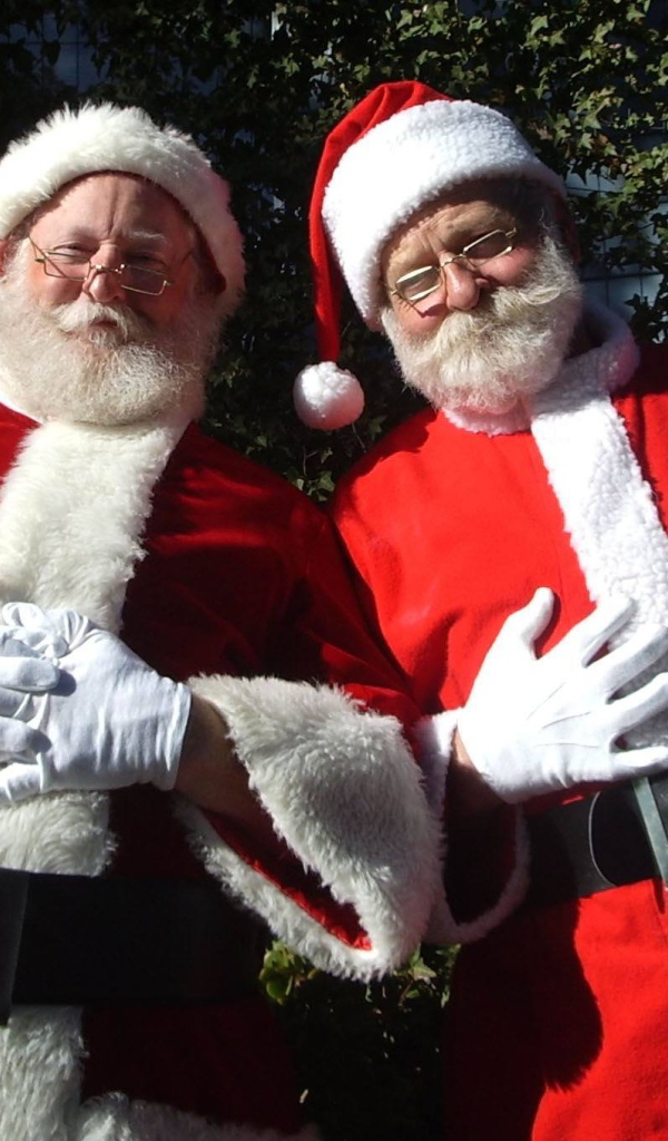 Дед мороз и санта клаус