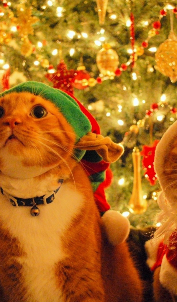 Прикольные дед мороз и снегурочка