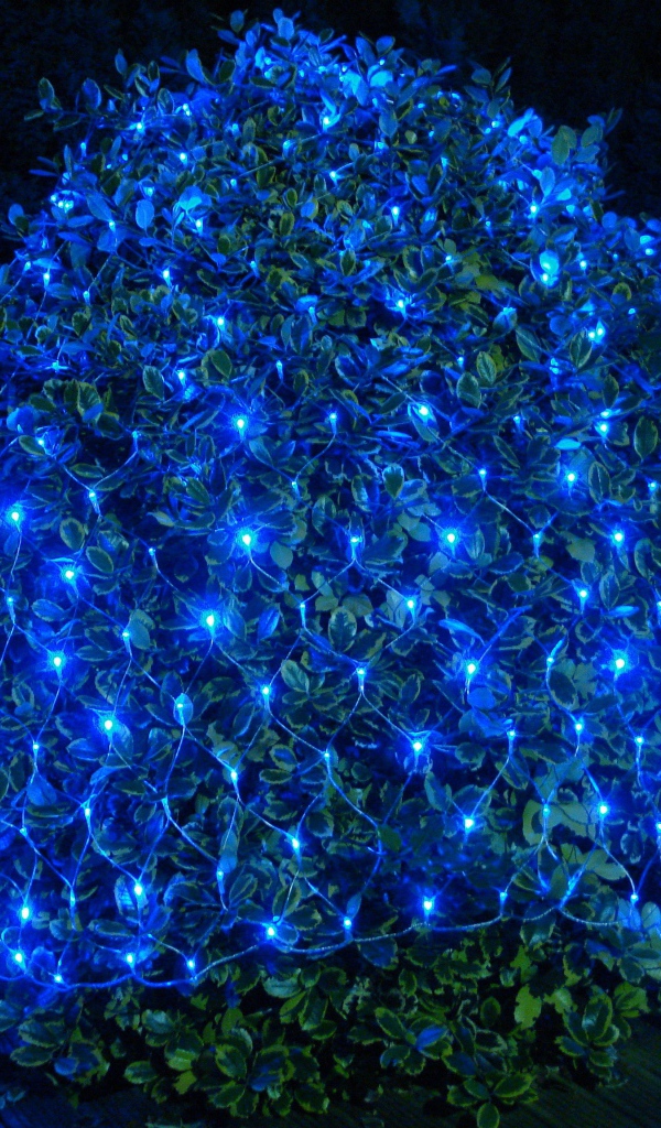 Гирлянда сеть