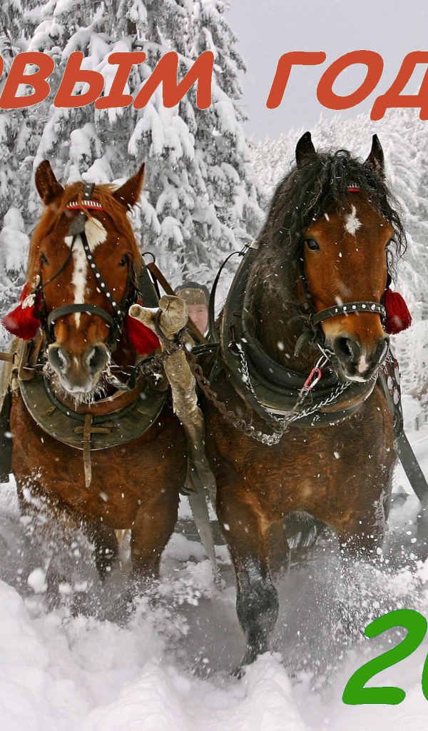 С новым годом 2014, лошадки бегут по снегу
