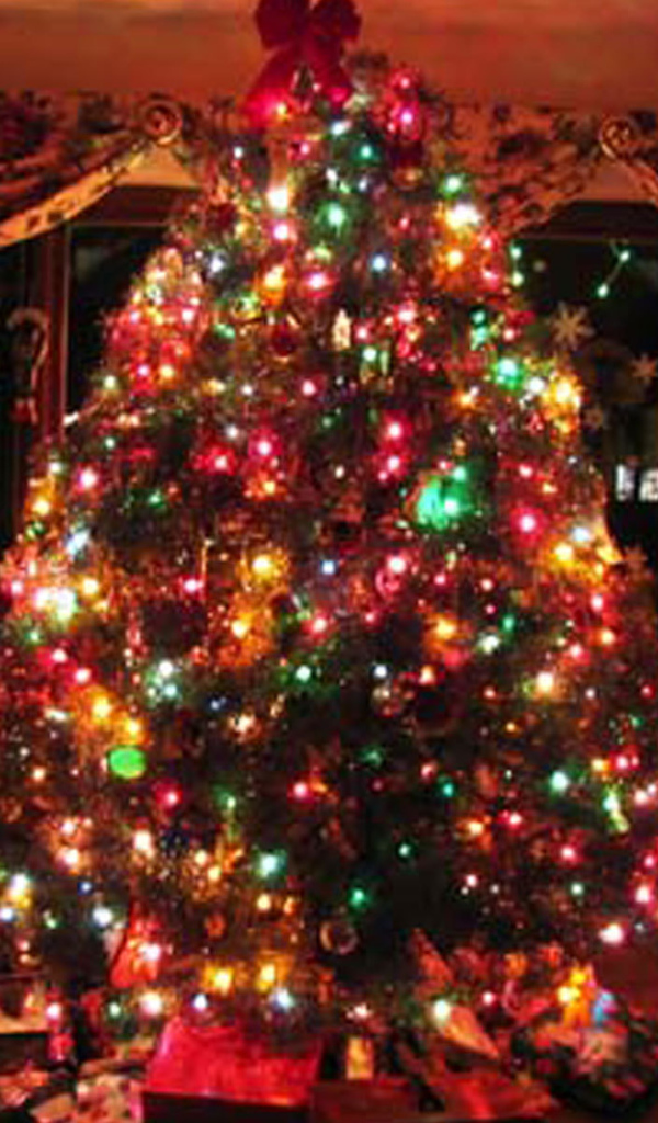 Огромная Новогодняя елка