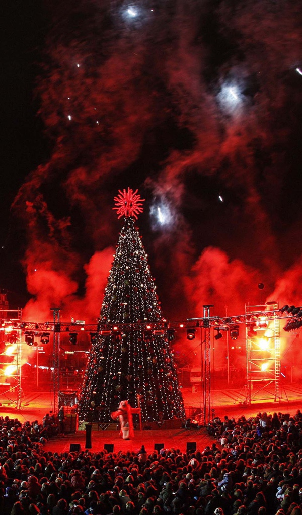 Зажжение новогодней елки в Вильнюсе 2014