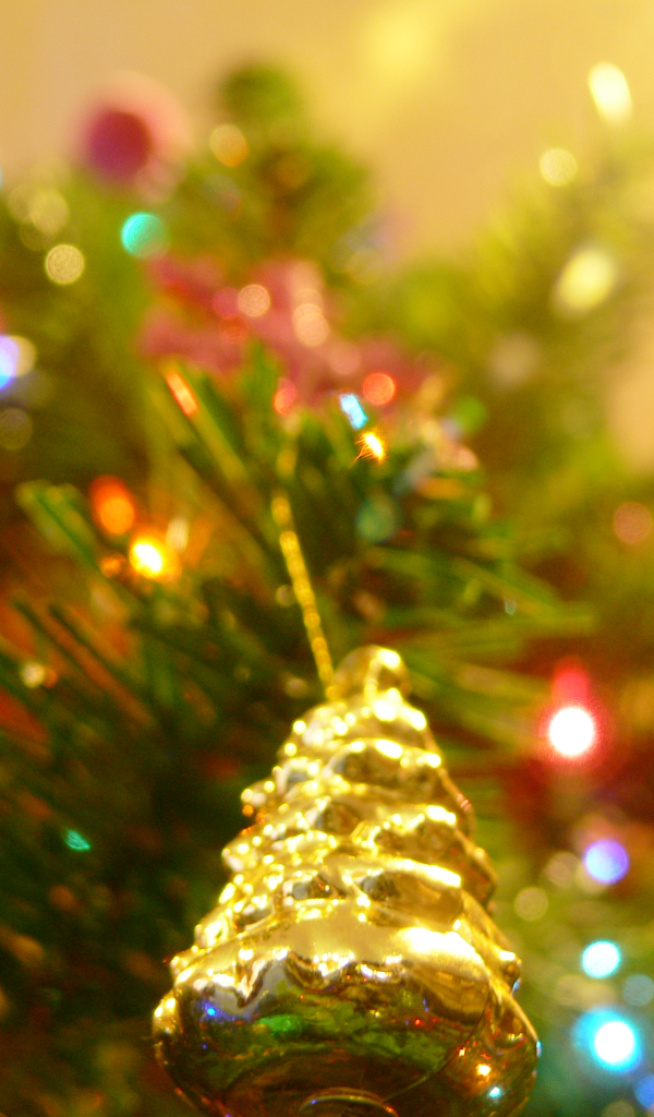 Новогодняя елка в ярких огнях