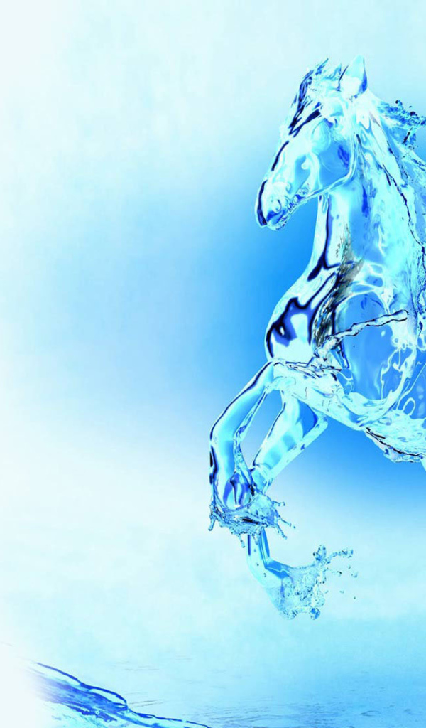 Новый год 2014 и лошадь из воды