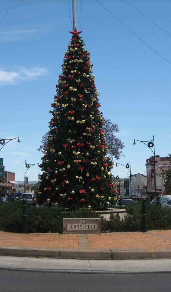 Новогодняя елка в Америке