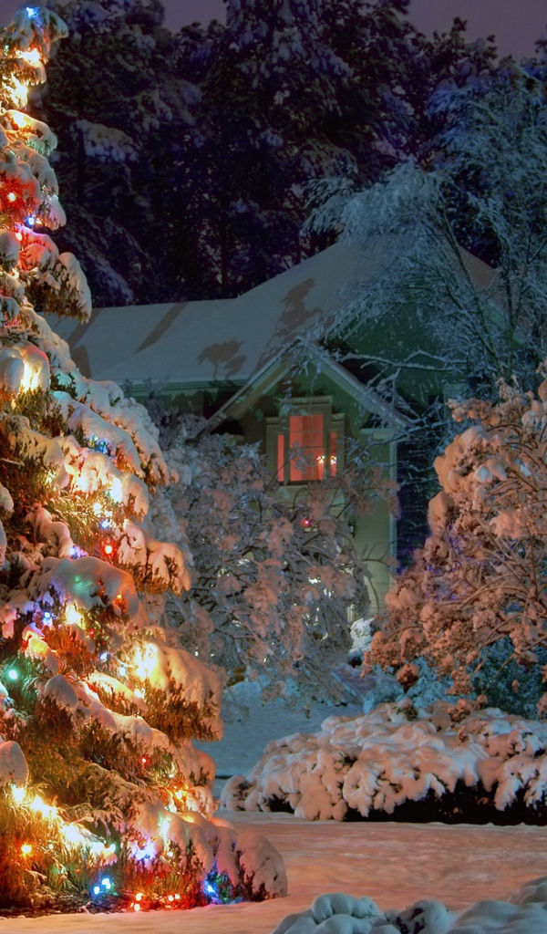 Новогодняя елка в ночном лесу