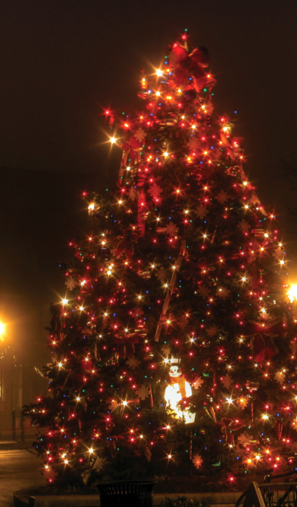 Новогодняя елка в провинциальном городе