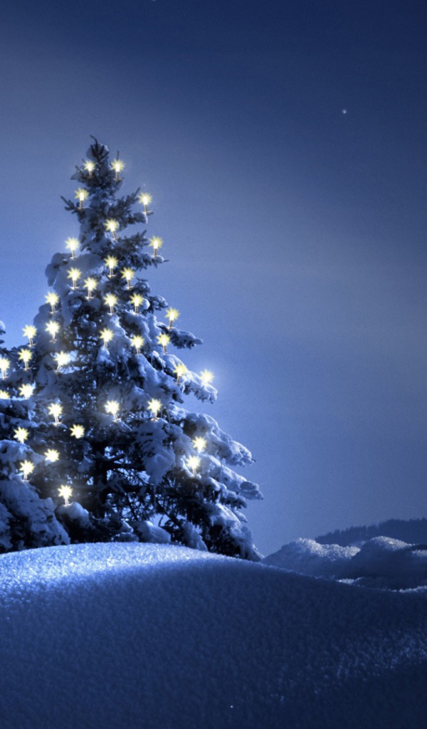 Новогодняя елка в ночи