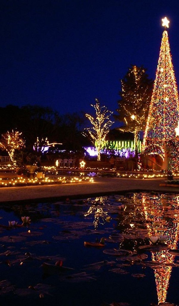 Новогодняя елка в хорошо украшенном районе