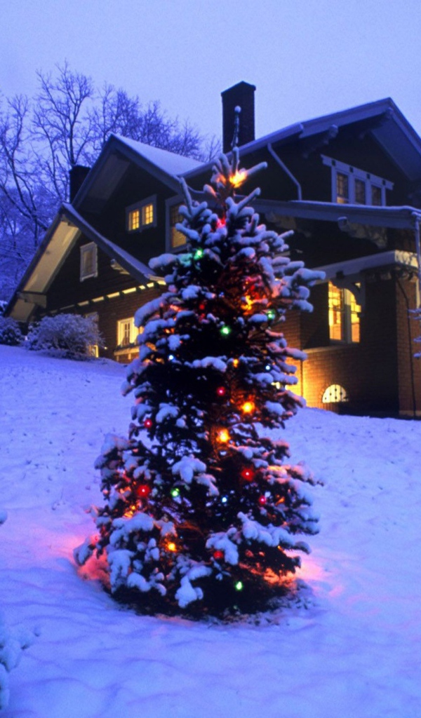 Новогодняя елка в зимнем лесу