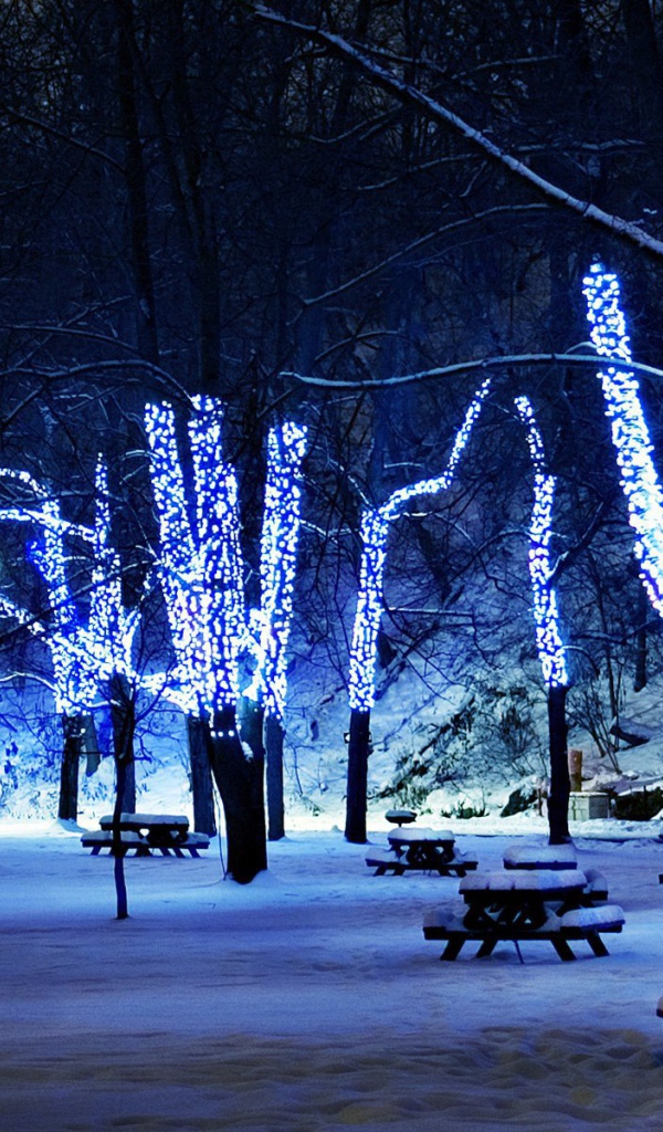 Новогодняя елка в зимнем парке