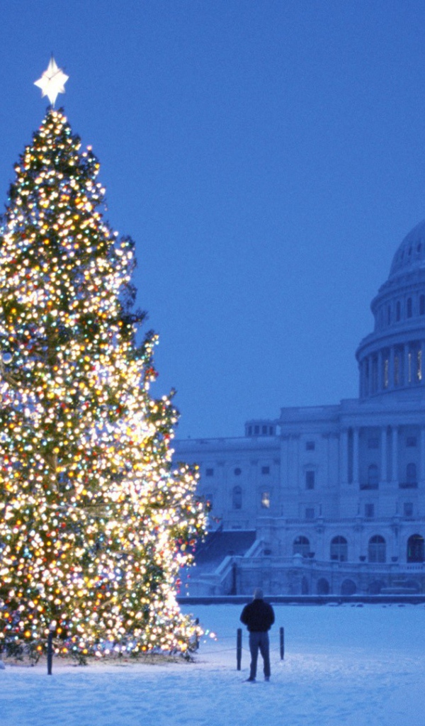 Новогодняя елка у Белого дома