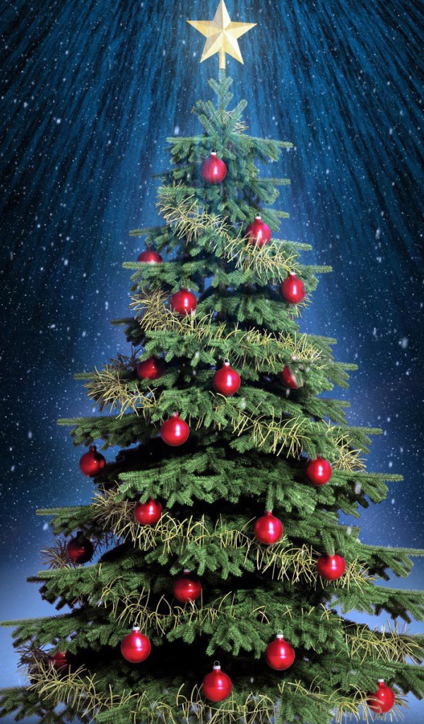 Новогодняя елка под светом звезды