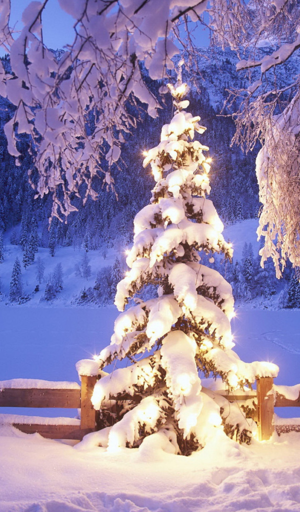 Новогодняя елка под снегом