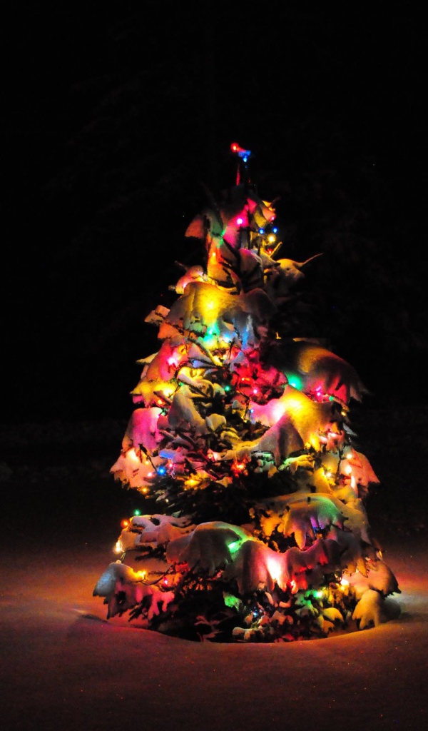 Наша маленькая Новогодняя елка