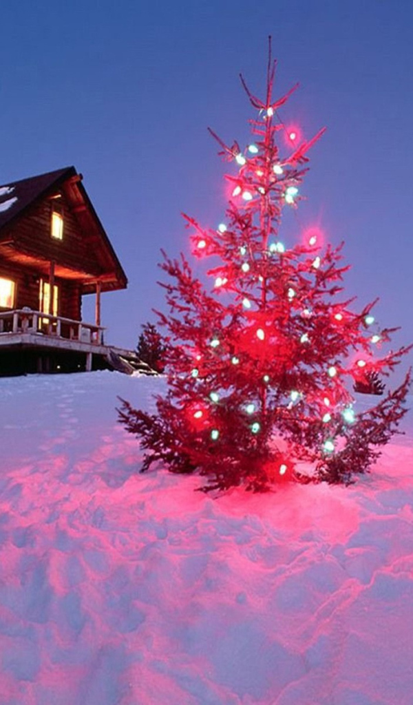 Колючии иголки на новогодней елке