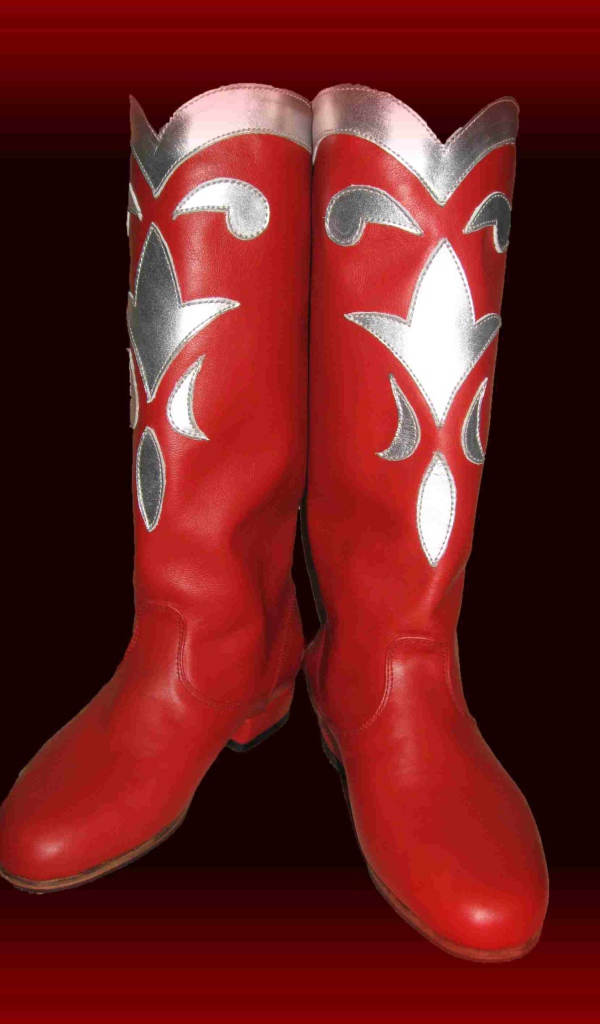 Cапоги деда мороза