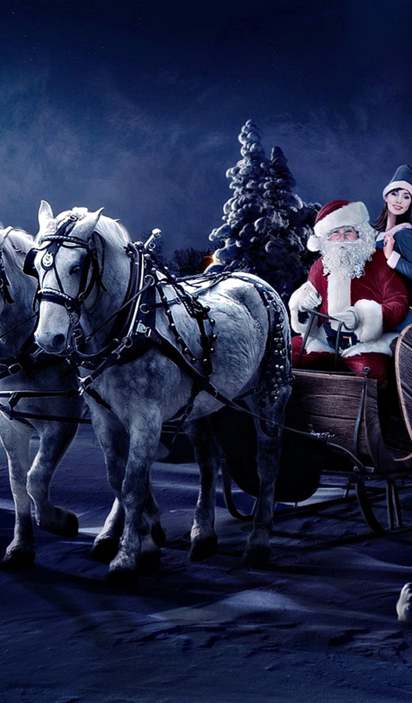 Дед мороз на лошади в лесу