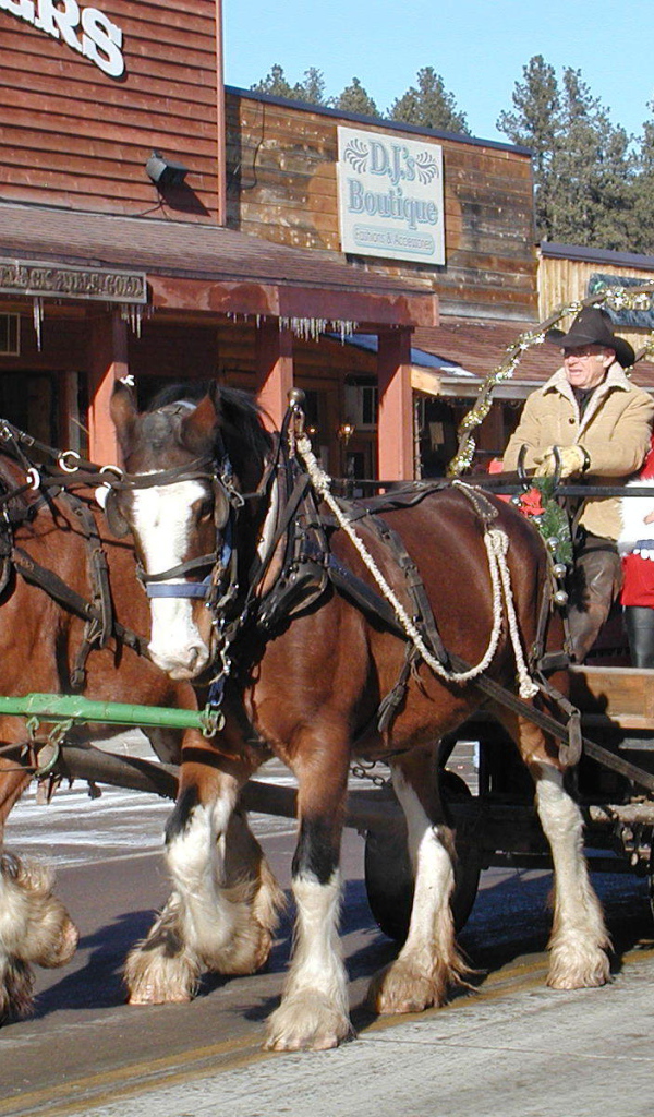  Шведский дед мороз