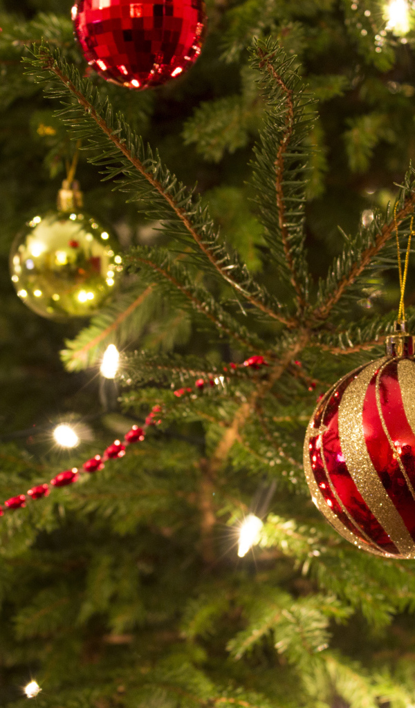 Красная игрушка на новогодней елкe