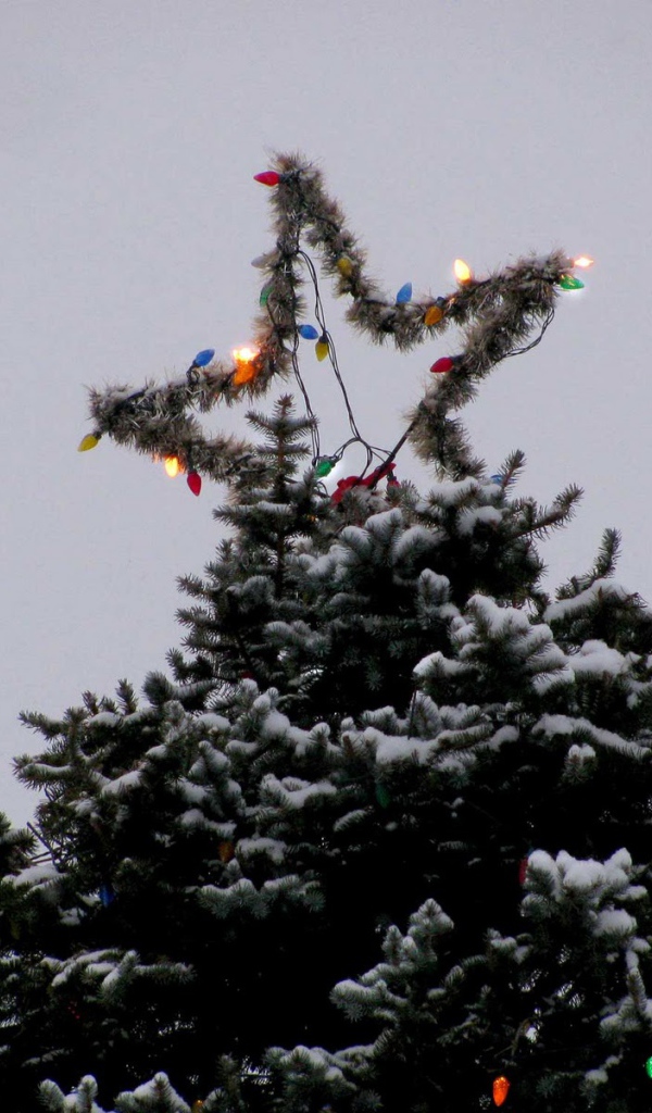 Звезда новогодней елки