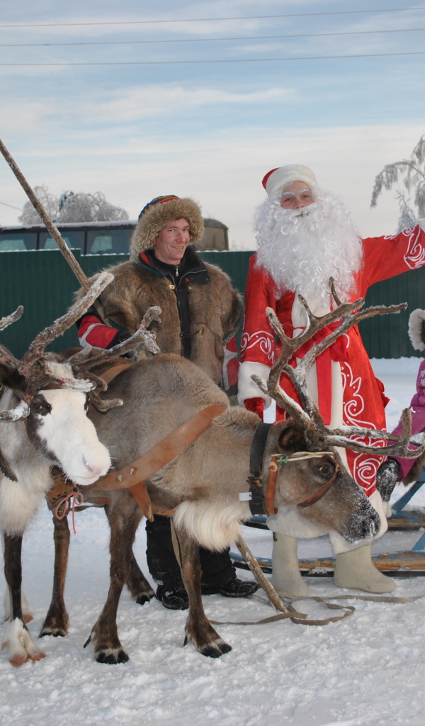 B гости к деду морозу