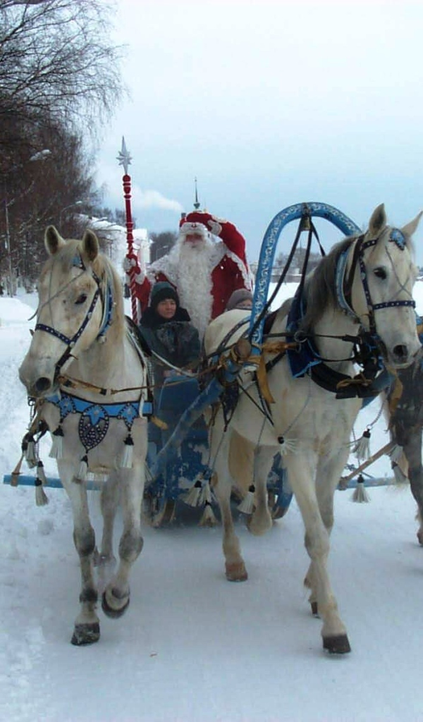 Pодина деда мороза