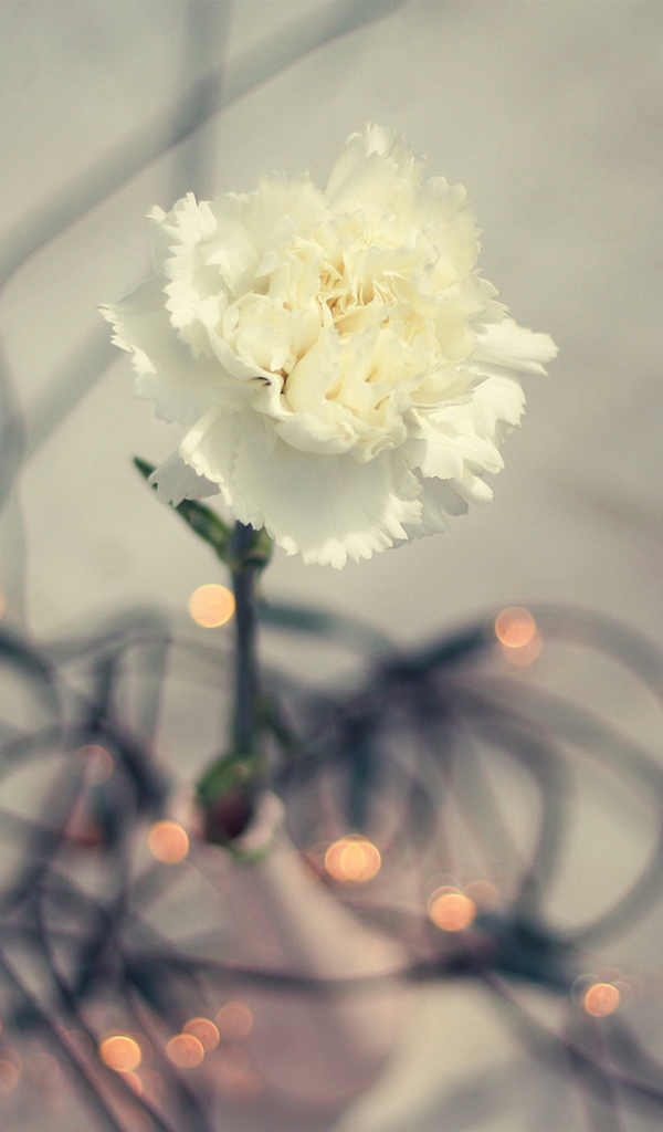 Цветок гирлянда