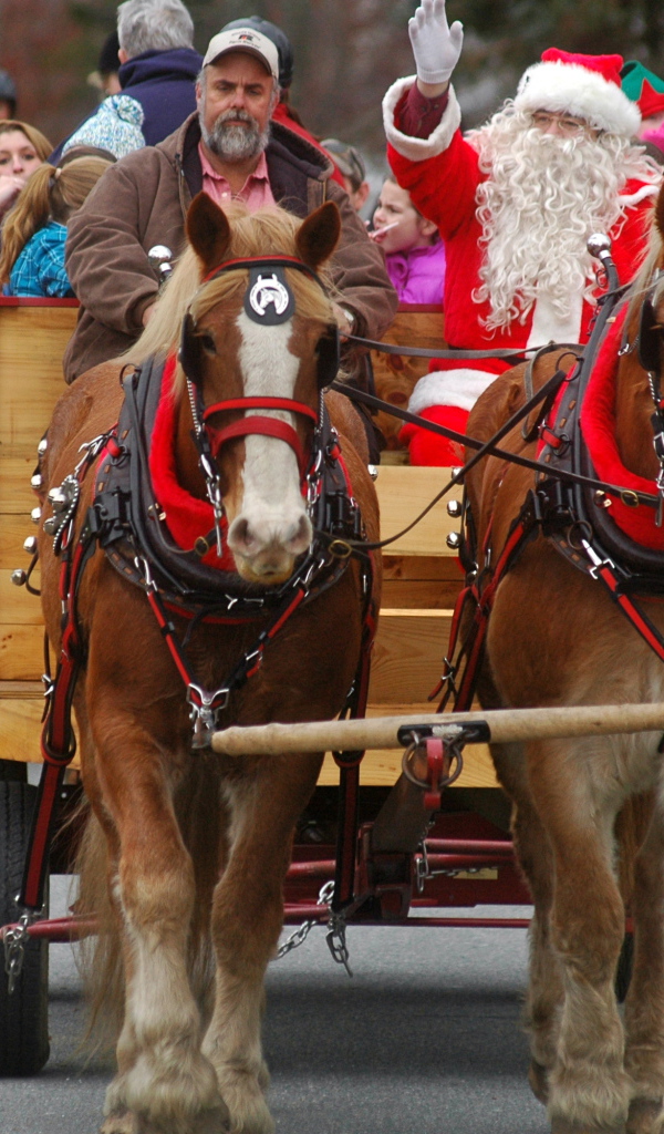 Дед мороз на лошади