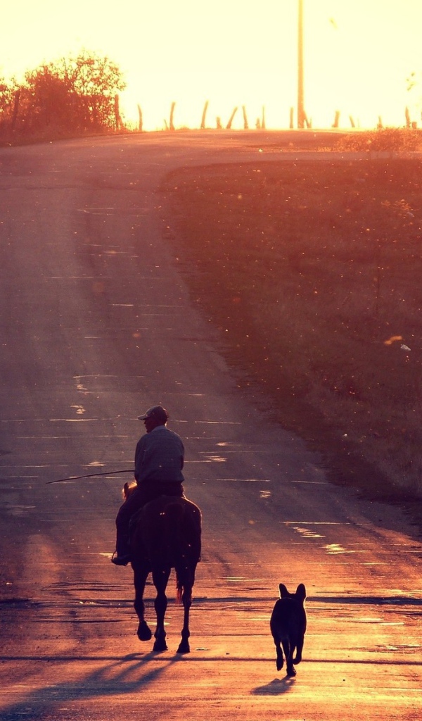Всадник и собака на прогулке