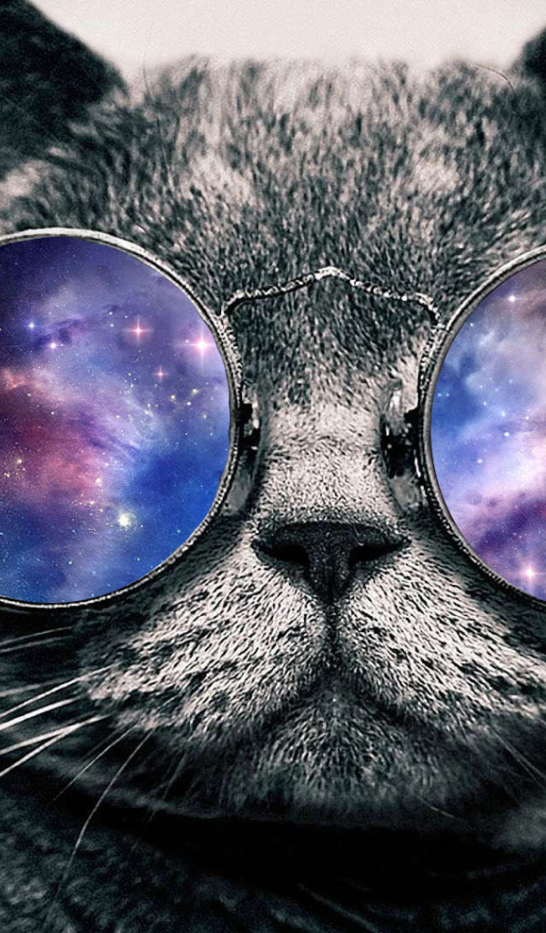 Кот в космосе