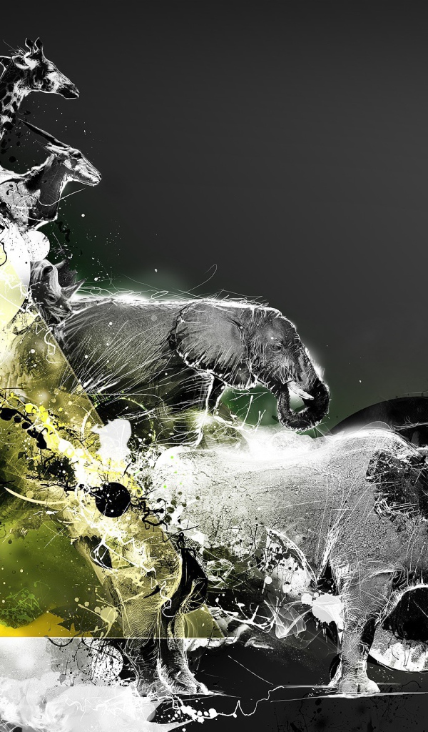 Фотоиллюстрация с животными