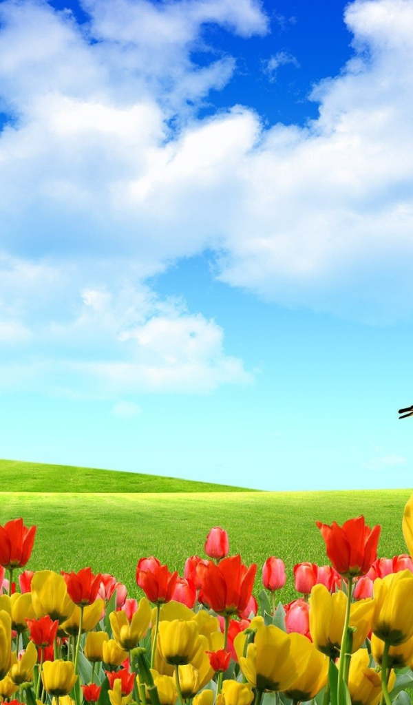 Абстрактные бабочки на тюльпанах