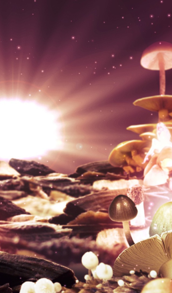 Фантазия из грибов