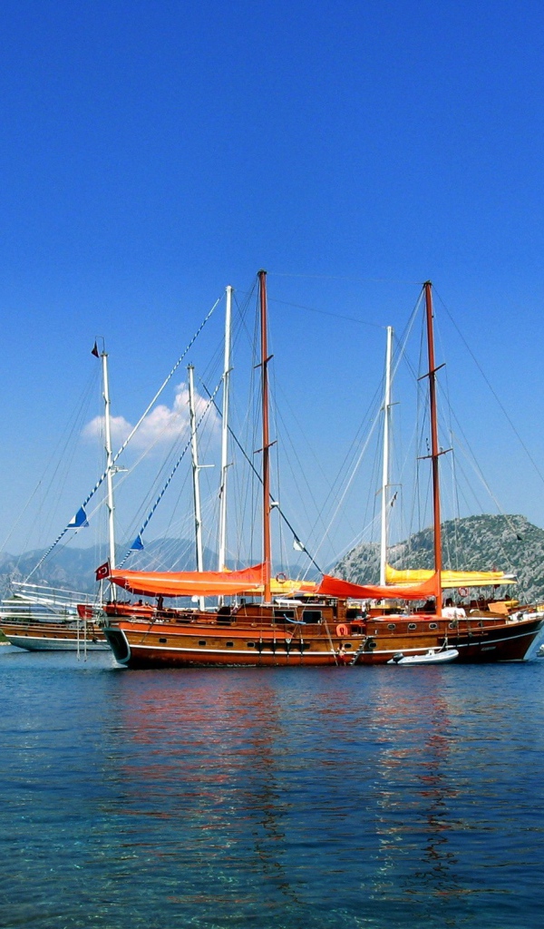 Парусные корабли в заливе