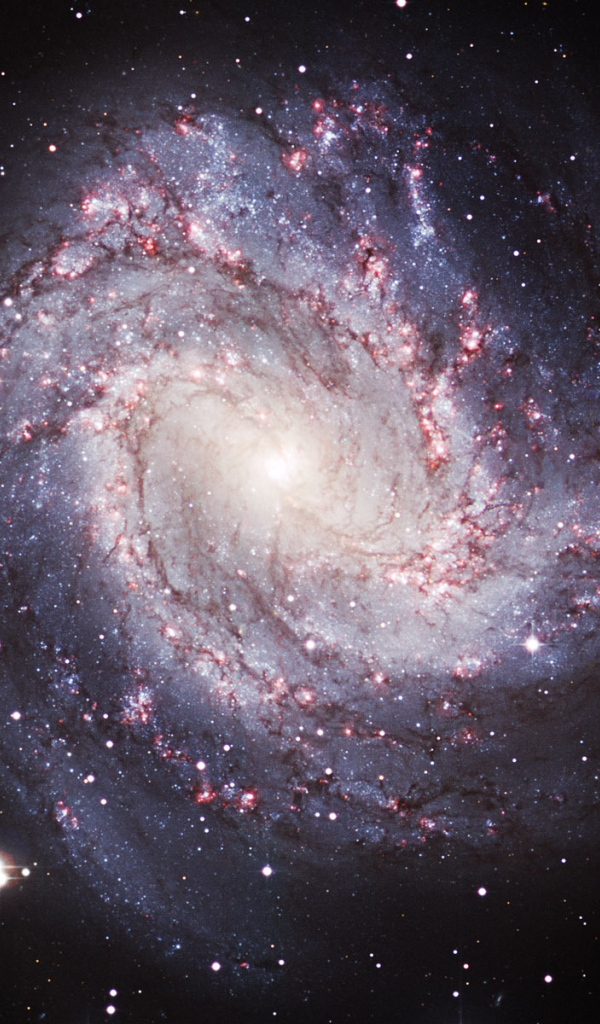 Спиральная галактика М83