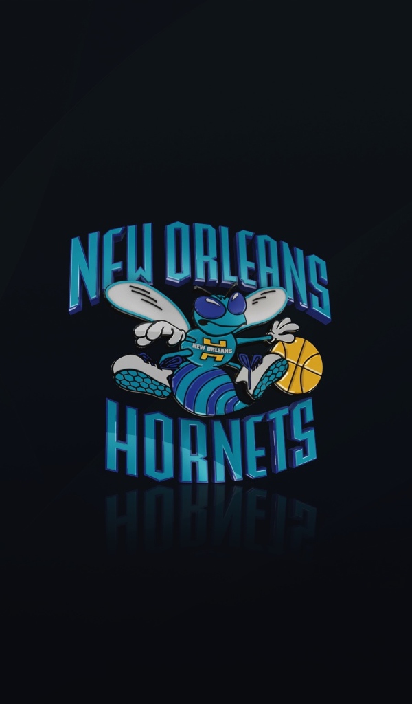 Баскетбольный клуб Нового Орлеана