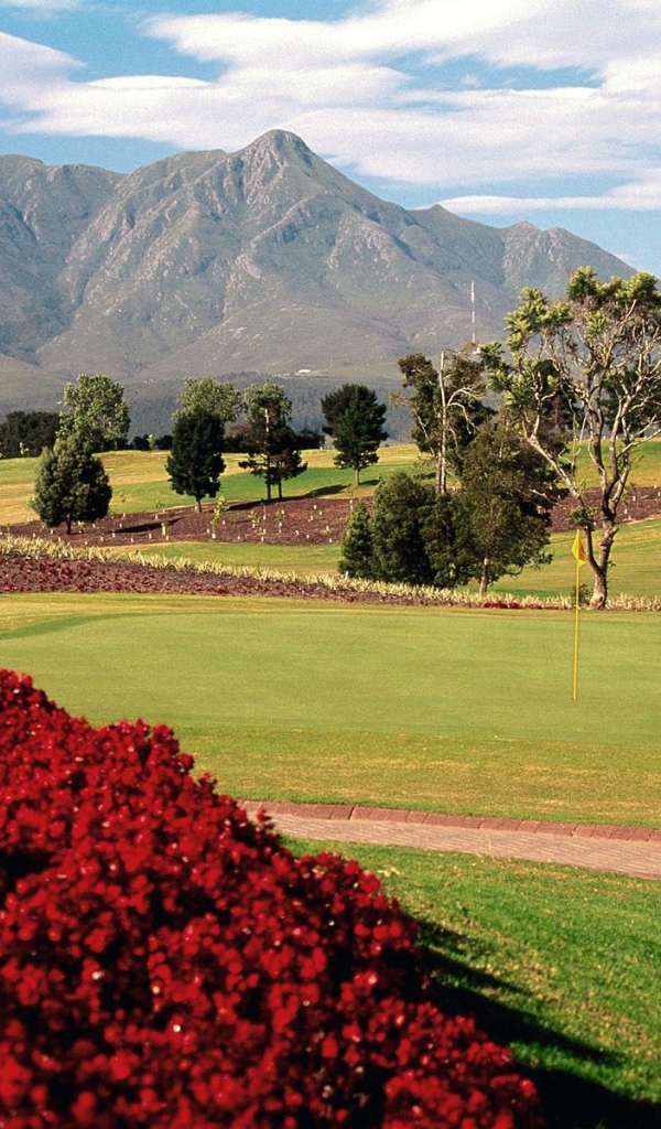 Поле для игры в Гольф