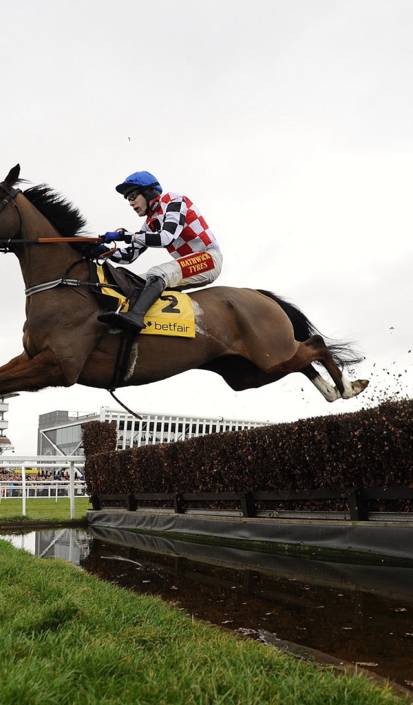 Лошадиные скачки