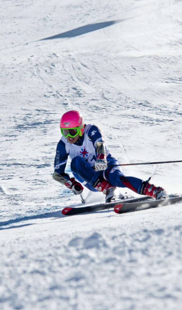 Лыжник на спуске