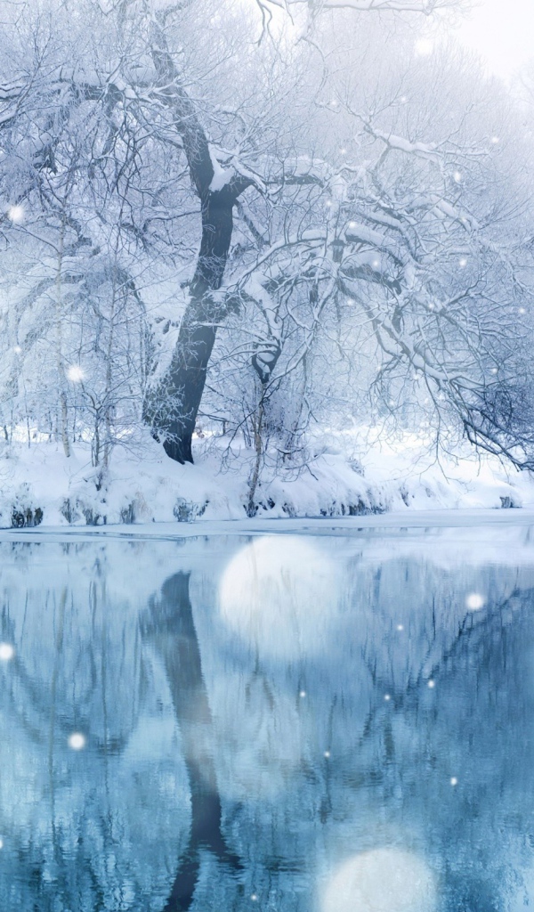 Winter forest near the river