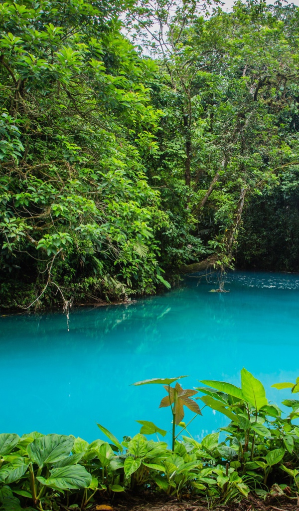 Национальный парк в Коста Рика