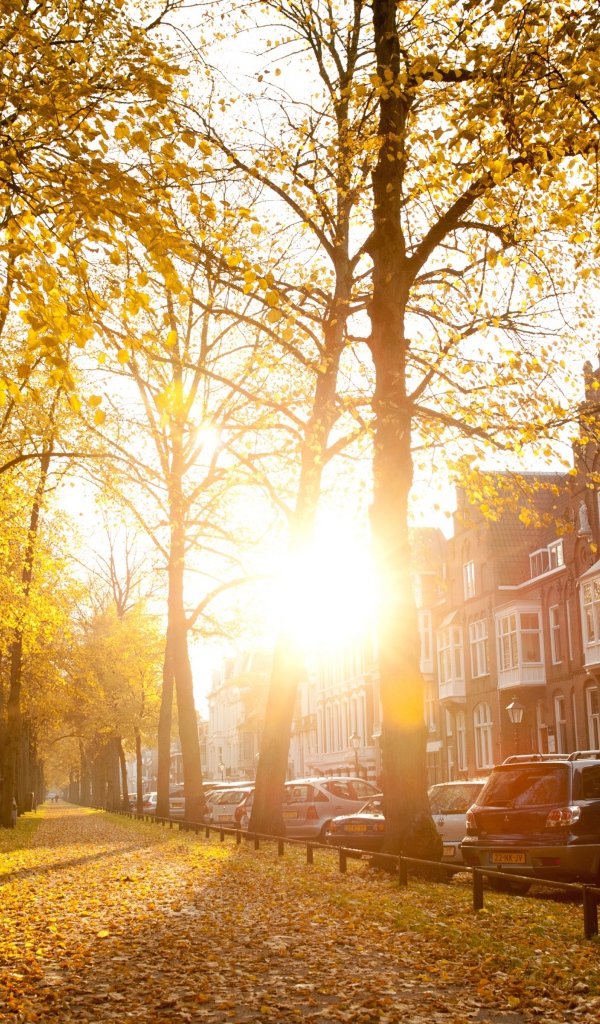 Осенний день в Утрехте