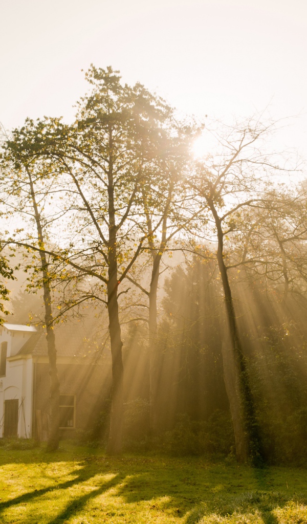 Солнце над Амстердамом
