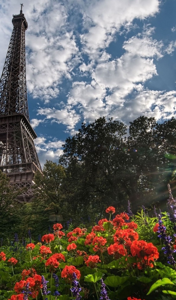 Башня и цветы в Париже