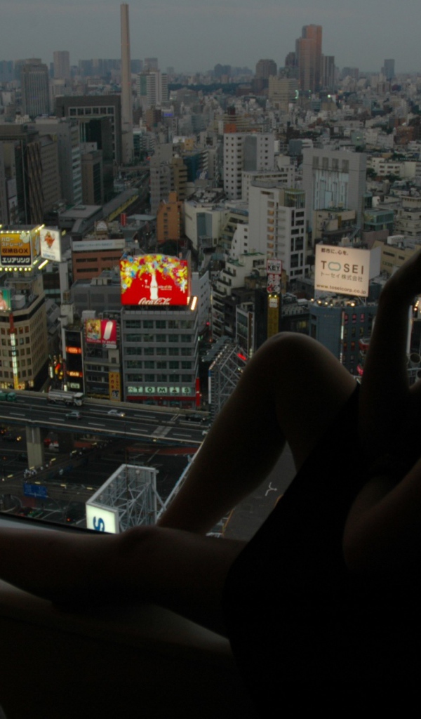 Токио из окна