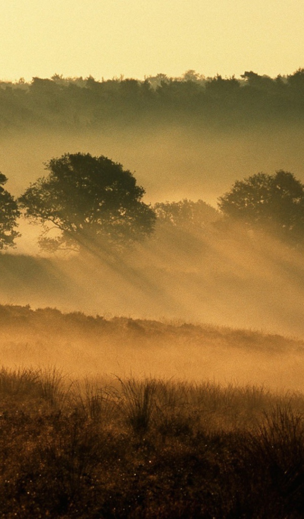 Национальный парк Нидерланды